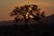 Namib (sunset)