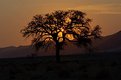 Picture Title - Namib (sunset)