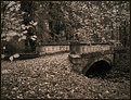 Picture Title - Old bridge