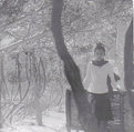 Picture Title - miradita