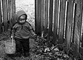 Picture Title - The Littlest Egg Hunter