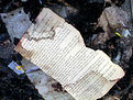 Picture Title - the mystery page