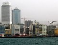 Picture Title - sea-gull and the city