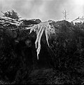 Picture Title - Lethal icicles