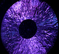 Picture Title - The Eye
