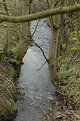 Picture Title - Springtime Stream