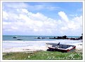Picture Title - Tanjung Balau