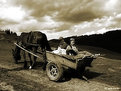 Picture Title - offspring