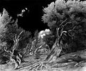 Picture Title - The Ghost Trees