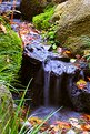 Picture Title - Fall Waters