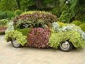 Picture Title - Flower Child's VW