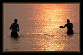 Picture Title - Sporting at sunset