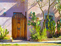 Picture Title - Tucson Door II