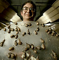 Picture Title - Barry with his snails