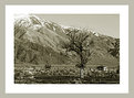 Picture Title - Manzanar