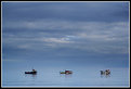 Picture Title - Boulmer Boats