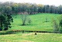 Picture Title - Green Pastures and small pond: Danielsville, Ga.