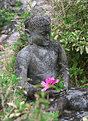 Picture Title - Buddha with flower (gift)