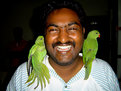 Picture Title - Three Parrots 