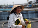 Picture Title - Mekong Floating Market II