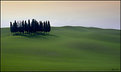 Picture Title - I famosi cipressi......( the famous cypress)