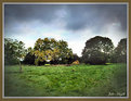 Picture Title - Green fields