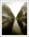 Picture Title - Damme canal (duotone)