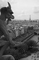 Picture Title - Gargoyle_2