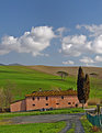 Picture Title - Terre di Toscana