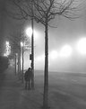 Picture Title - Fog