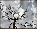 Picture Title - Dead of Winter