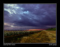 Picture Title - End of the rains