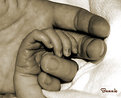 Picture Title - Tiny fingers