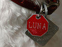 Picture Title - Luna