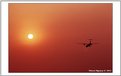 Picture Title - Fly to the sun