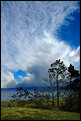 Picture Title - Mares Tails