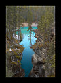 Picture Title - Jasper National Park