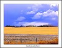 Picture Title - Early Spring on the Prairie