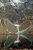 lake in the Tatra Mountains