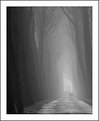 Picture Title - Misty road