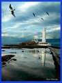 Picture Title - Light House Reflection
