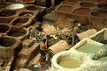 Picture Title - The Tannery