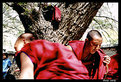 Picture Title - monk