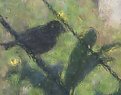 Picture Title - Blurred Bird 3