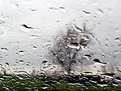 Picture Title - Rainy Tuesdays