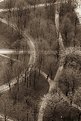 Picture Title - curved roads