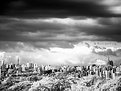 Picture Title - dark clouds over the city