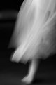Picture Title - Tulle