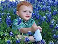 Picture Title - Baby in Bluebonnetts