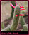 Colors of the Desert
